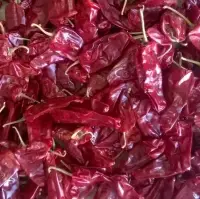Tomato Chillies
