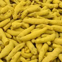 Turmeric Fingers