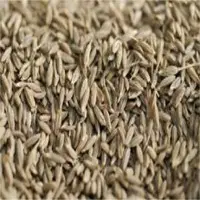 Cumin Seeds
