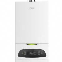 Gas Boiler