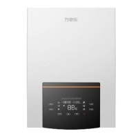 Gas Boiler