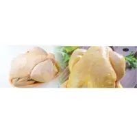 Frozen Whole Chicken