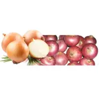 Onions