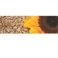 Sunflower Seeds