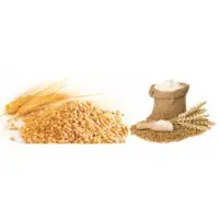 Wheat Flour