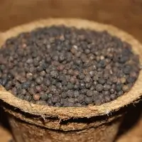 Black Pepper