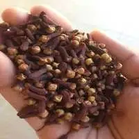 Cloves