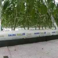 Galuku Hydro CS Grow Bag