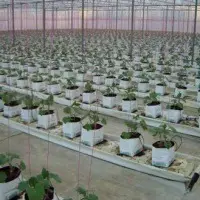 EF-2PB Easyfil Two Plant Planter Bag