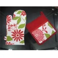 Oven Mit & Potholders