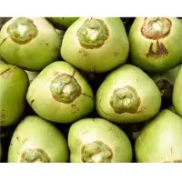 Tender Coconuts