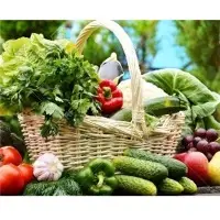 Organic Vegetables