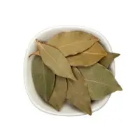Bay Leaf Or Laurel Leaf