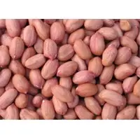 Groundnut Seeds