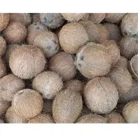 Dehusked Coconuts