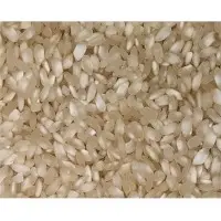 Idly Rice