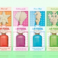 Air Fossil - A Decorative Air Freshener