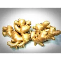 Fresh ginger