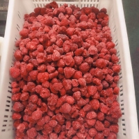 Frozen Strawberry Fruits
