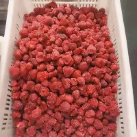 Frozen Strawberry Fruits
