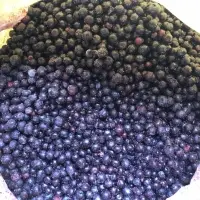 Frozen Blueberry Fruits