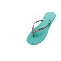 1002 (2 Color) Slipper