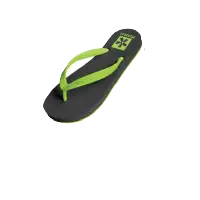 CO  Slipper