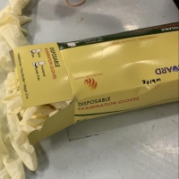 Latex Gloves