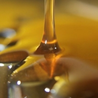 Short Oil Alkyd- 31c