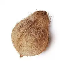 Semi Husked Coconut
