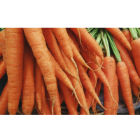 Carrots