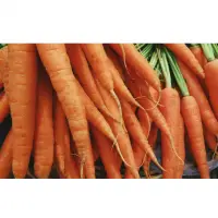 Carrots