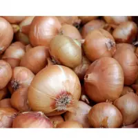 Onions