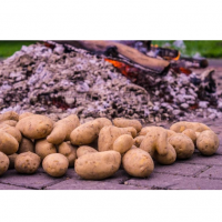 Potatoes