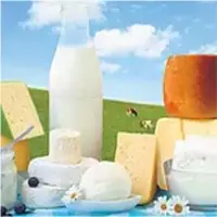 New Zealand Dairy