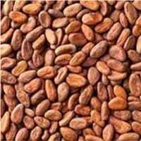 Cocoa