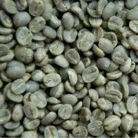 Washed Arabica Green Coffee Beans Grade 2