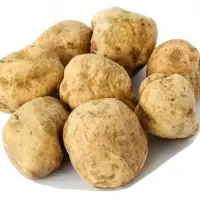 Original French Perigord Truffles