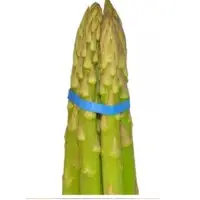 Asparagus
