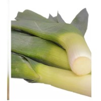 Leek