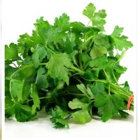 Parsley