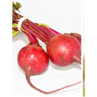 Beets