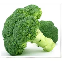 Broccoli