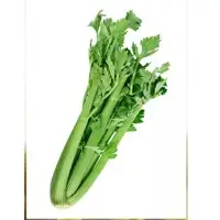 Celery