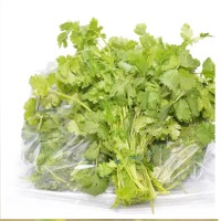 Coriander