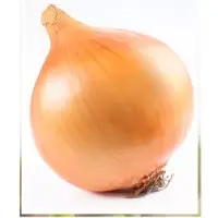 Dry Onion