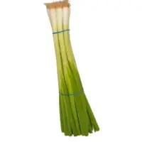 Green Onion