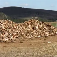 Air Dried Firewood