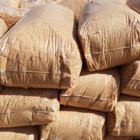 Pine Wood Shavings