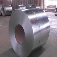 Galvanize Steel Coils